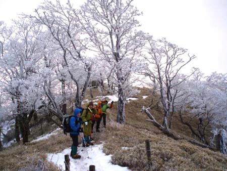 蛭ケ岳の霧氷