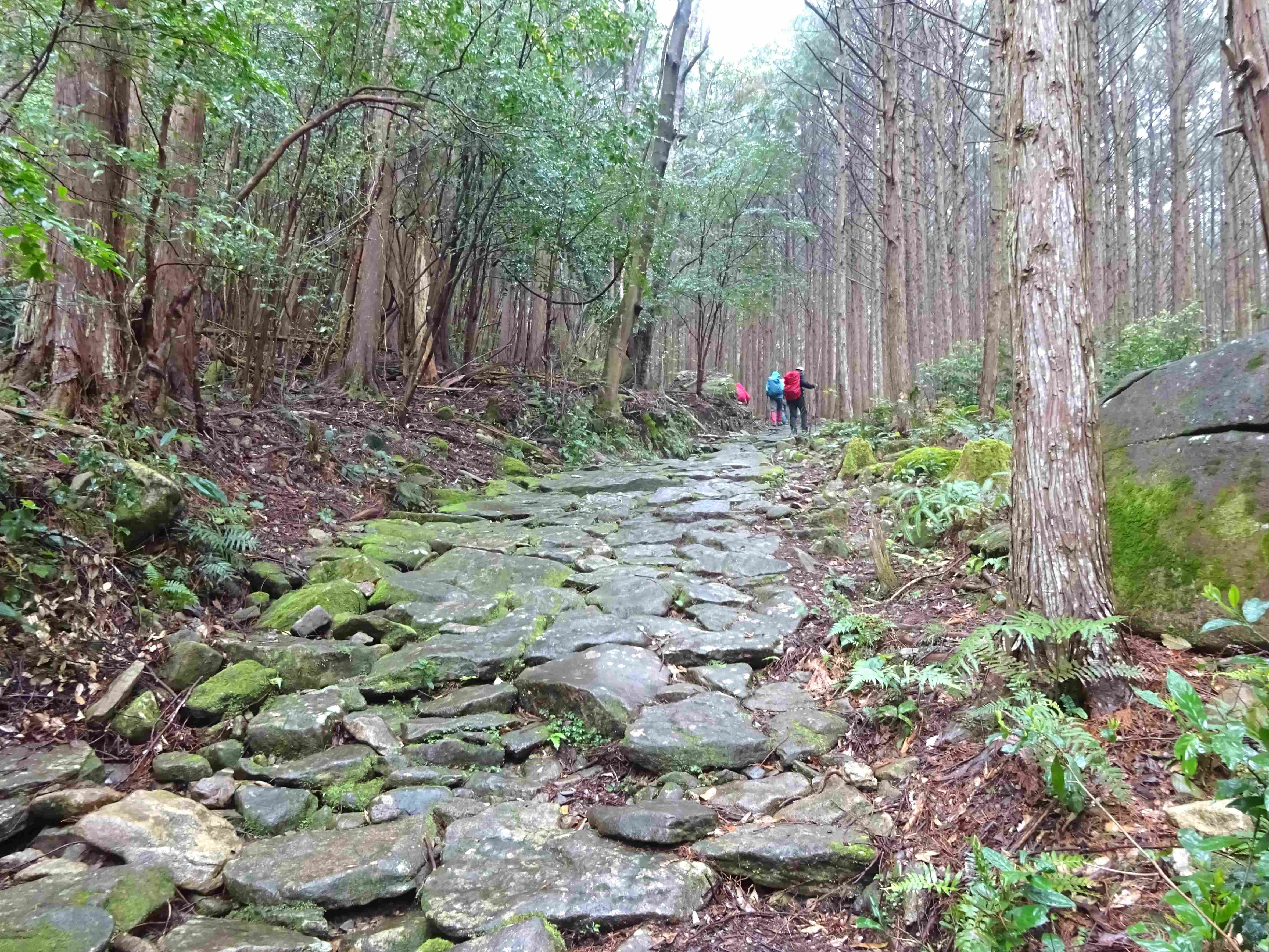 熊野古道伊勢路「ツヅラト峠・馬越峠・八鬼山」