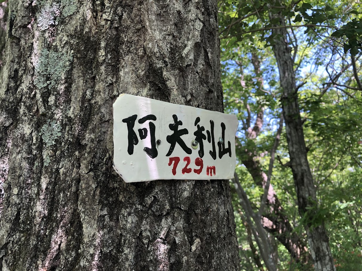Tile 山行記