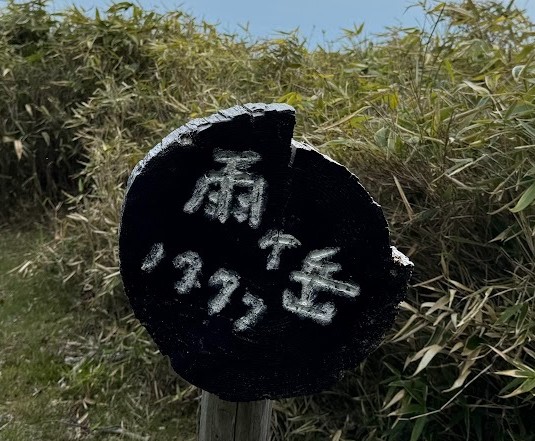 Tile 山行記