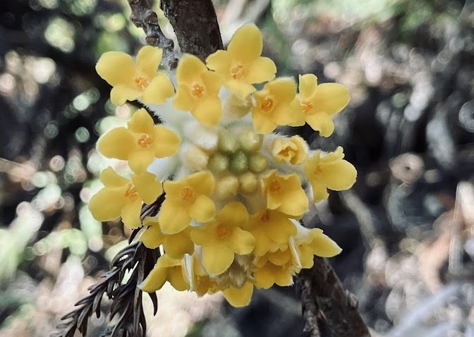 Tile山行記