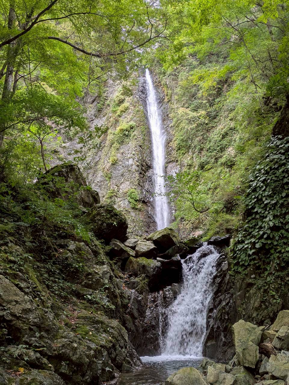 神ノ川　伊勢沢