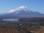 Tile fujisan