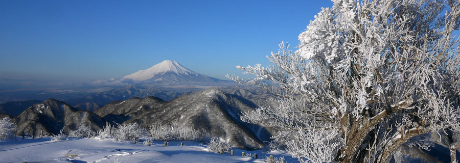 2016.02.07 蛭ヶ岳、距離：39km、写真提供：S.Mさん<br />雪の蛭ヶ岳からの真っ白な雪を被る富士山