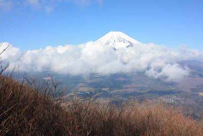 愛鷹山・富士見台、距離：15km<br />旧50銭札に描かれた富士山
