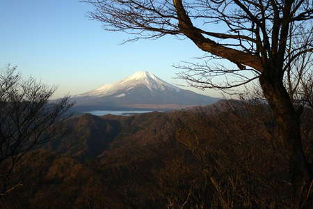 2014.11.23 菰釣山、距離：25km、写真提供：S.Mさん<br />樹林の向こうにみえる富士山