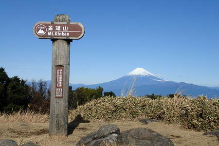 伊豆・金冠山、距離：44km<br />相模湾を挟んで富士山