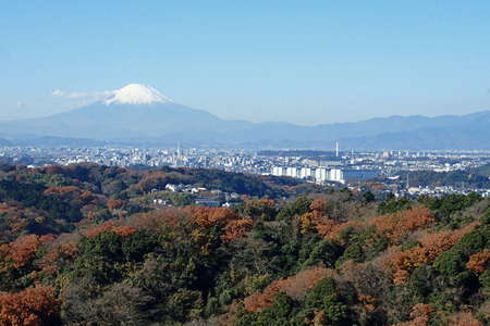 2016.12.08 鎌倉アルプス、距離：75km<br />半僧坊の展望台から眺める富士山