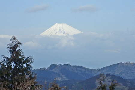 2017.03.04 伊東・大平山、距離：52km<br />展望台から眺める富士山