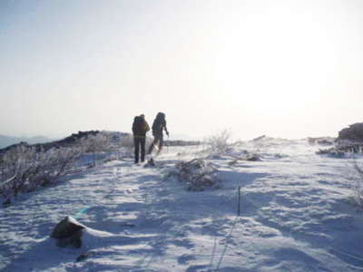 金峰山の稜線で