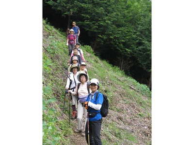 送電鉄塔手前の草原
