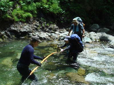 渡渉水流強く棒に捕まって 