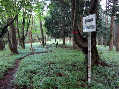 榛ノ木丸へ下る所の看板