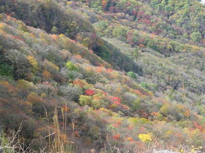 艫岩から見下す紅葉