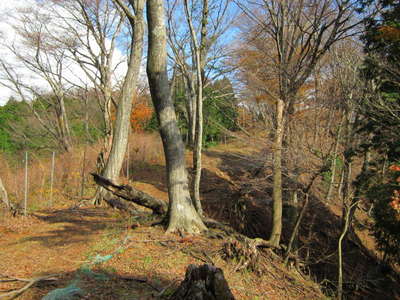 920mヨモギ平下の鞍部の紅葉