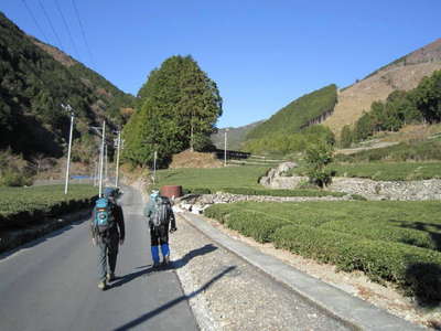 突先山 登山口へ向かう