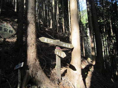 沢コースと山稜コースの合流点