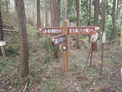 高山の池から八十岡への分岐