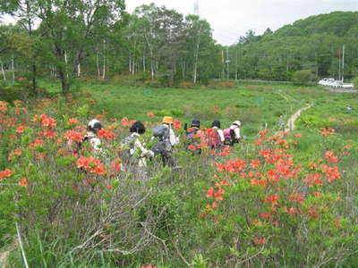 山頂から高原の下り