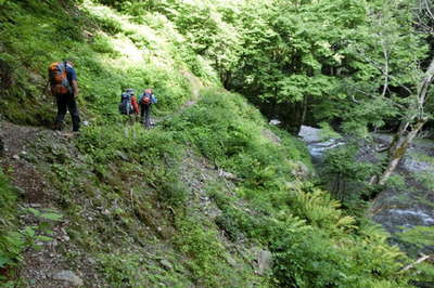 南沢に沿った登山道(1)