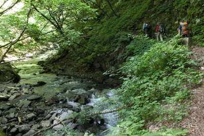 南沢に沿った登山道(2)