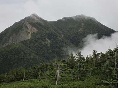 権現岳を望む