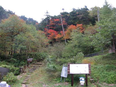 金精山登山口