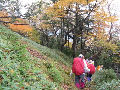 紅葉の尾根道