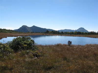 湿原から日光の山々