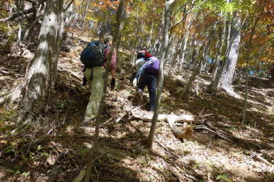 鶴ヶ鳥屋山 境界尾根を目指す