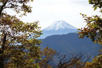 鶴ヶ鳥屋山 山頂から