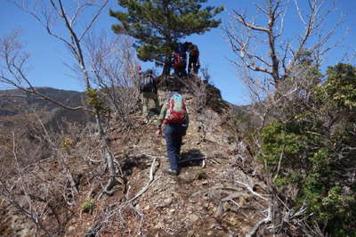 観音山の稜線を行く