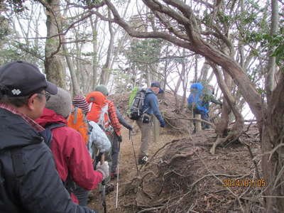 梅の木尾根へ 