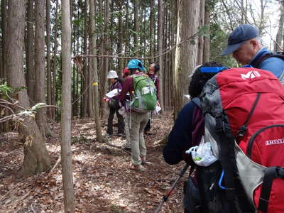 ｐ583ｍ（山本山）にて