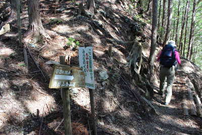 途中には0.3km、0.7kmの道標