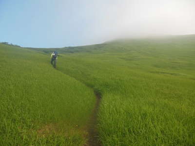 大烏帽子山南の登山道をめざす