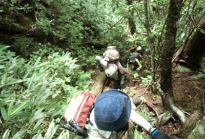 尾根に出てからも急登の連続 