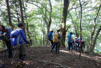 鳥屋山北尾根を下る