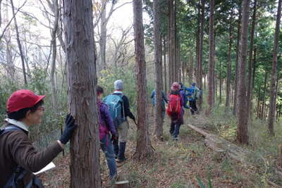 市境尾根の中間部を行く 