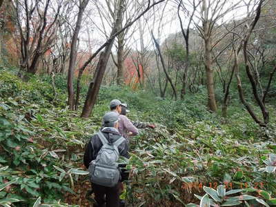 紅葉の残る獅子舞 