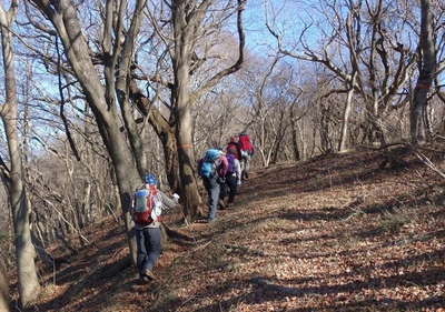 鷹落場の登り