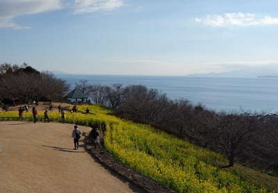 吾妻山公園から伊豆半島 