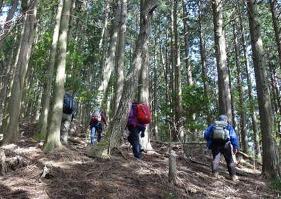 500m峰を登る