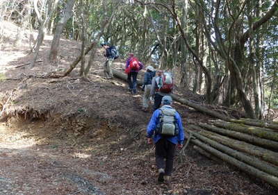 626.4m峰への登り