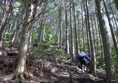 婆娑羅山の急登