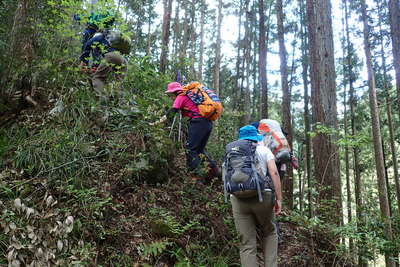 樹林帯の中の急な登り