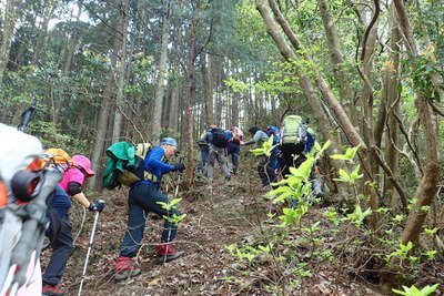 急になった樹林帯の道