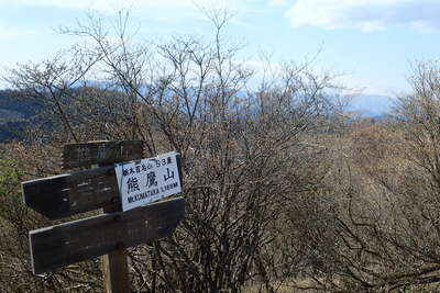 熊鷹山のツツジはまだ蕾