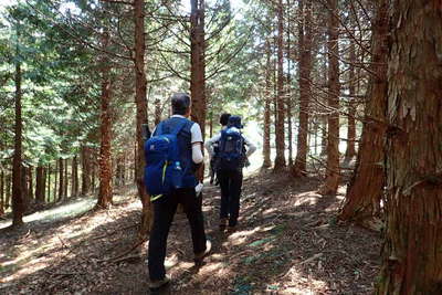 登山道を登ると緩やかな道