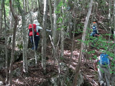 金堀山北尾根の急登